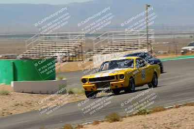 media/May-07-2022-Cobra Owners Club of America (Sat) [[e681d2ddb7]]/Blue/Session 1 (Turn 4)/